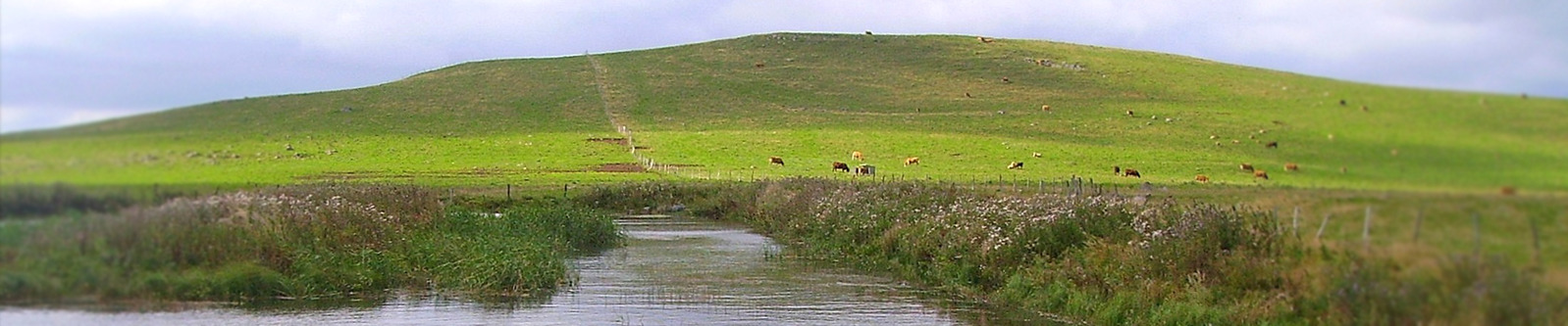 Trizac Cantal Auvergne