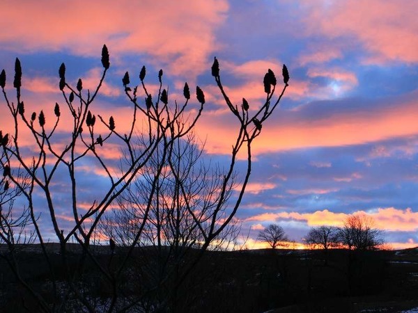 Couché de soleil