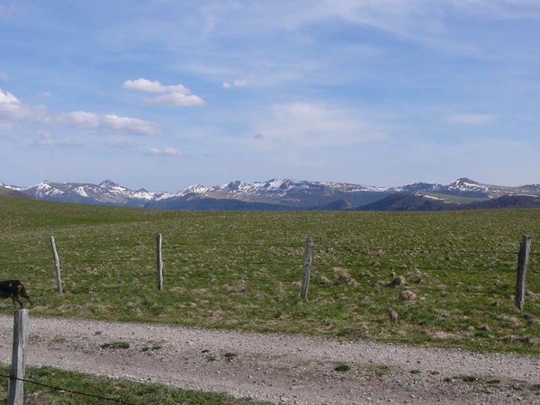 Monts du Cantal vus de Veirières