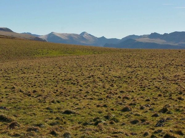 Monts du Cantal vus du Suc de Gramont