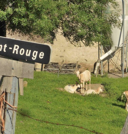 Sur la route de Chamblat, Font-Rouge et Le Fayet