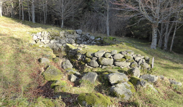 Site de Cotteughes