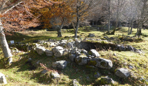 Site de Cotteughes