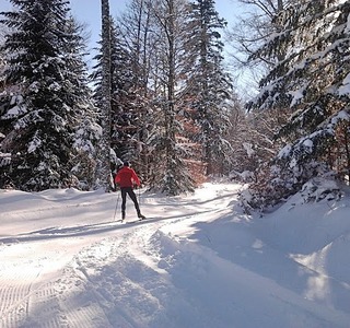 Ski de fond au Falgoux