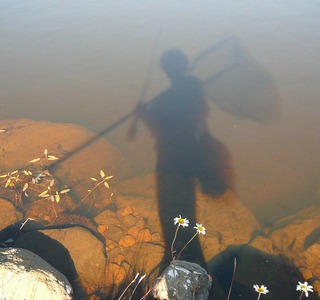 Pêche à Veirières